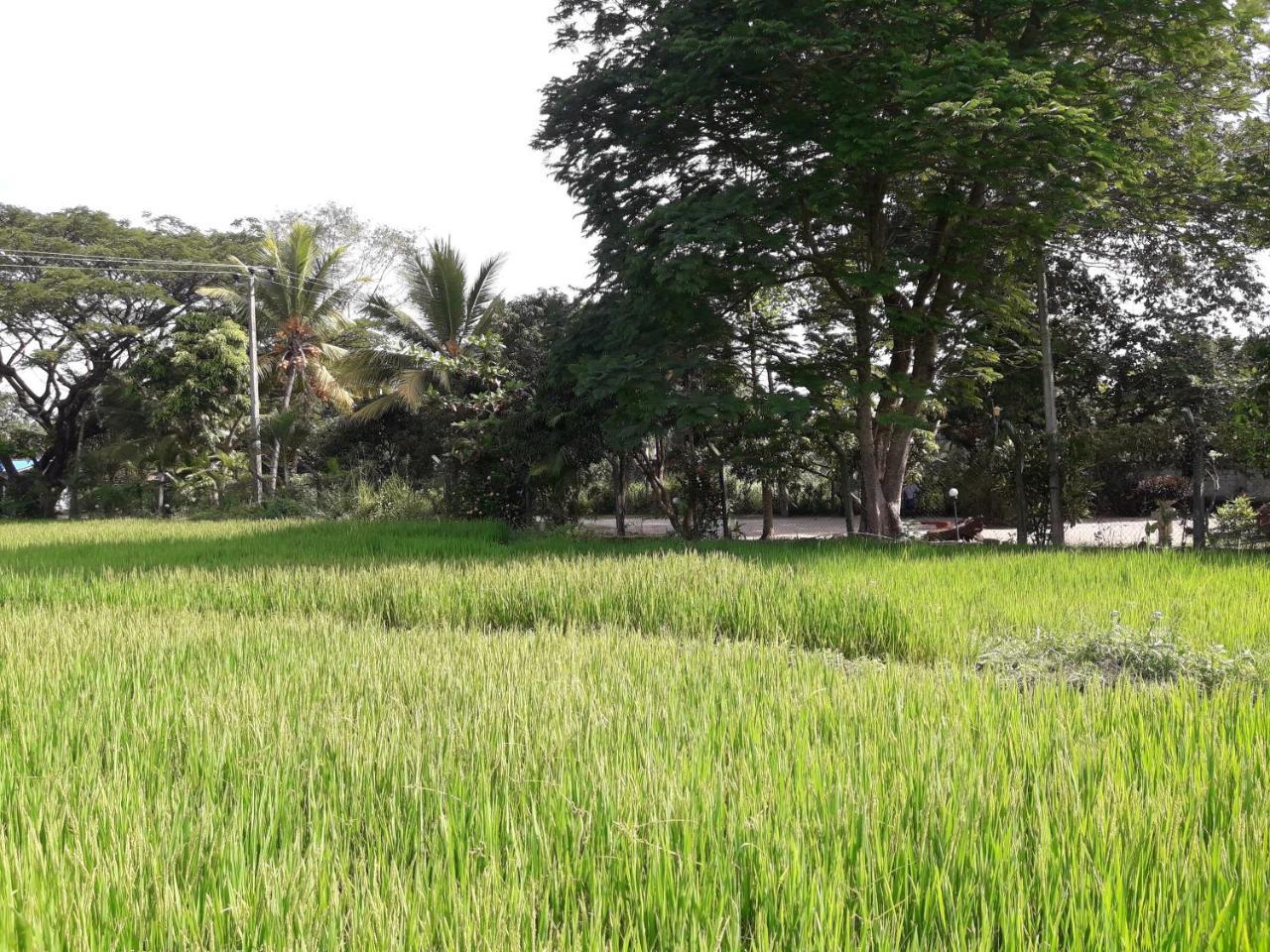 Hansika Guest Inn Buttala Bagian luar foto