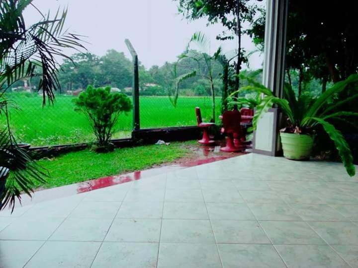Hansika Guest Inn Buttala Bagian luar foto